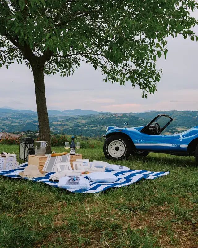 A picnic laid under a tree beside the ROOT buggy, hills beyond